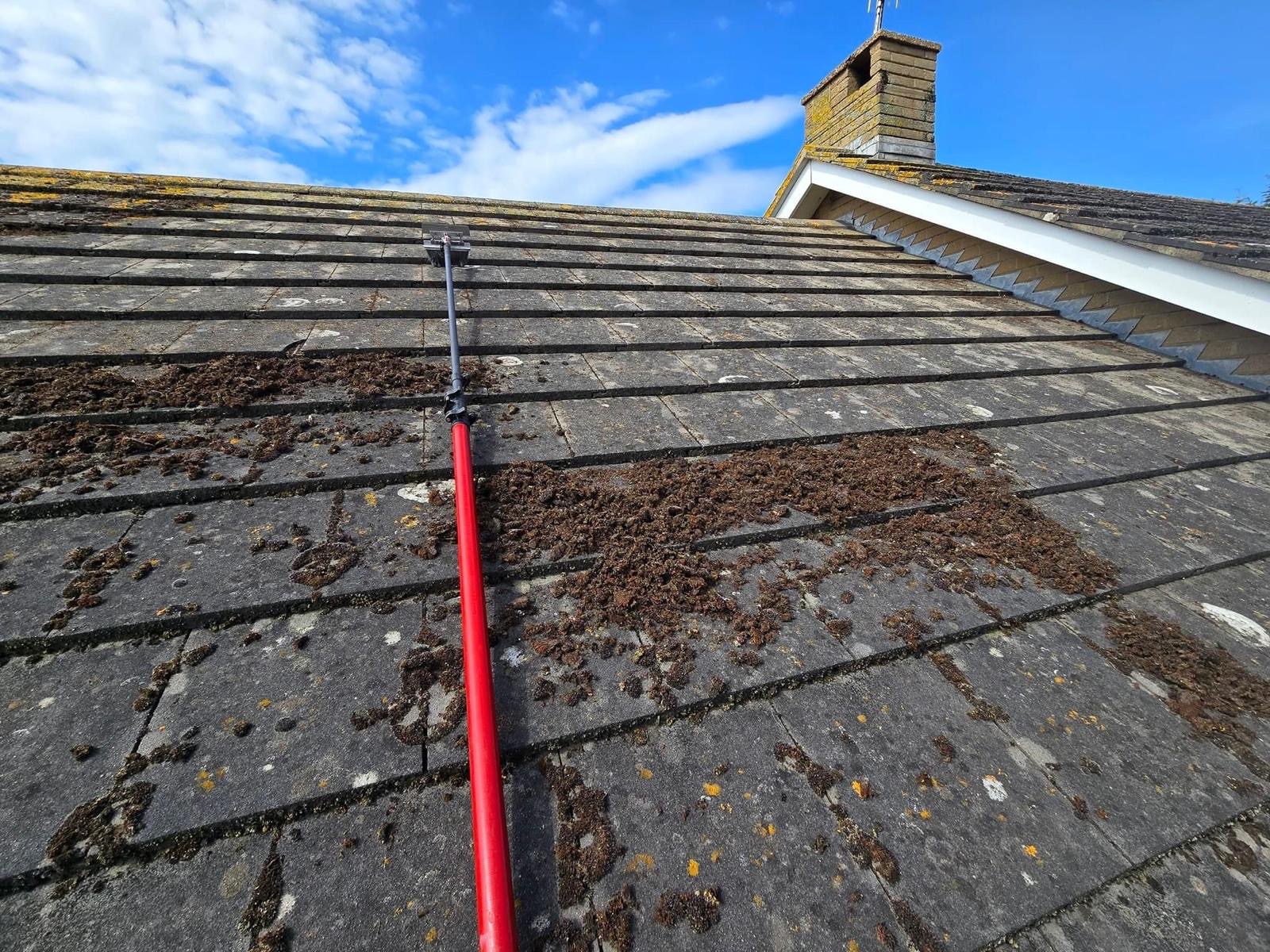 Gutter cleaning Jersey